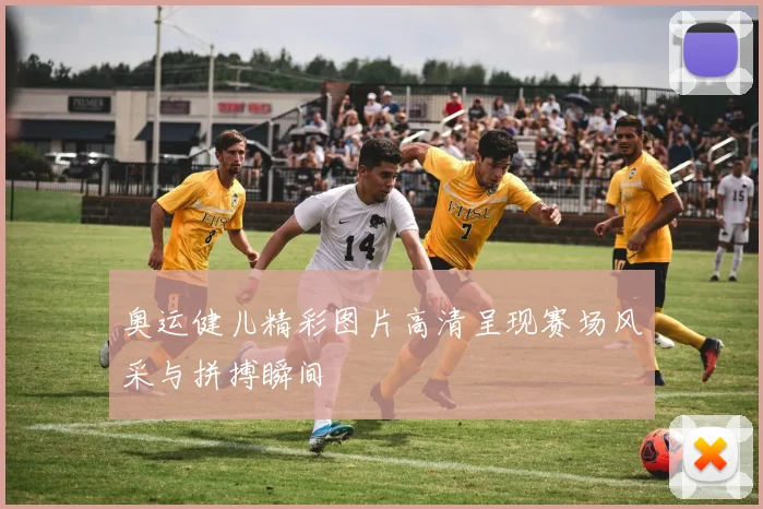 奥运健儿精彩图片高清呈现赛场风采与拼搏瞬间